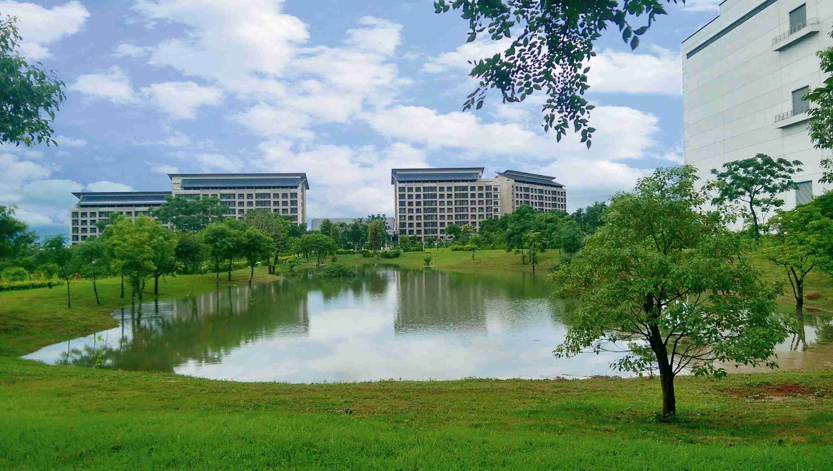 CG电子响应国际倡议生物多样性趋势，，，，首次发布TNFD自然相关财务揭露报告书，，，，擘划及开展CG电子生物多样性政策之承诺，，，逐步迈向与自然和谐共生